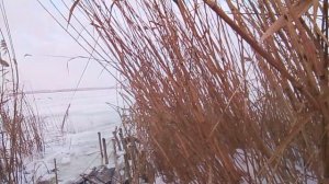 Зимний пейзаж с замерзшим водоемом VID_20260128_164731