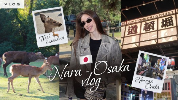 ВЛОГ НАРА-ОСАКА | Парк с оленями и вайб Осаки 🦌