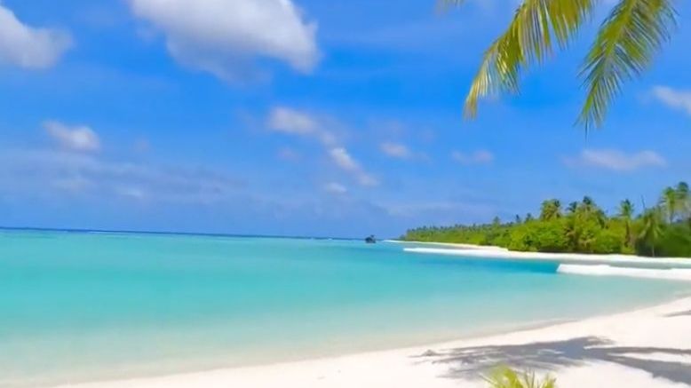 Ирония Анусовой или С Лёгким Пранком