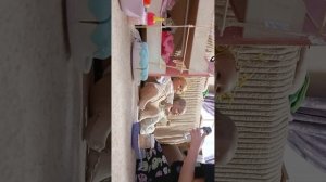 Влог (~~~~~~мини влог ~~~~~~~`````•••••••)