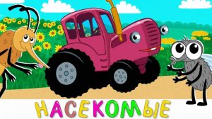 ЯРКИЙ МИР ДЛЯ САМЫХ МАЛЕНЬКИХ | СИНИЙ ТРАКТОР | МАША И МЕДВЕДЬ | ДЕТЯМ