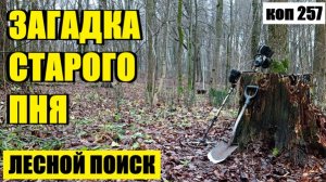 «ПОСЫЛКА» ИЗ ПРОШЛОГО: ЛЕС НЕ ПЕРЕСТАЁТ УДИВЛЯТЬ! коп 257