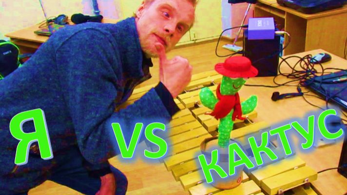 Кактус повторюшка против музыканта смотреть онлайн