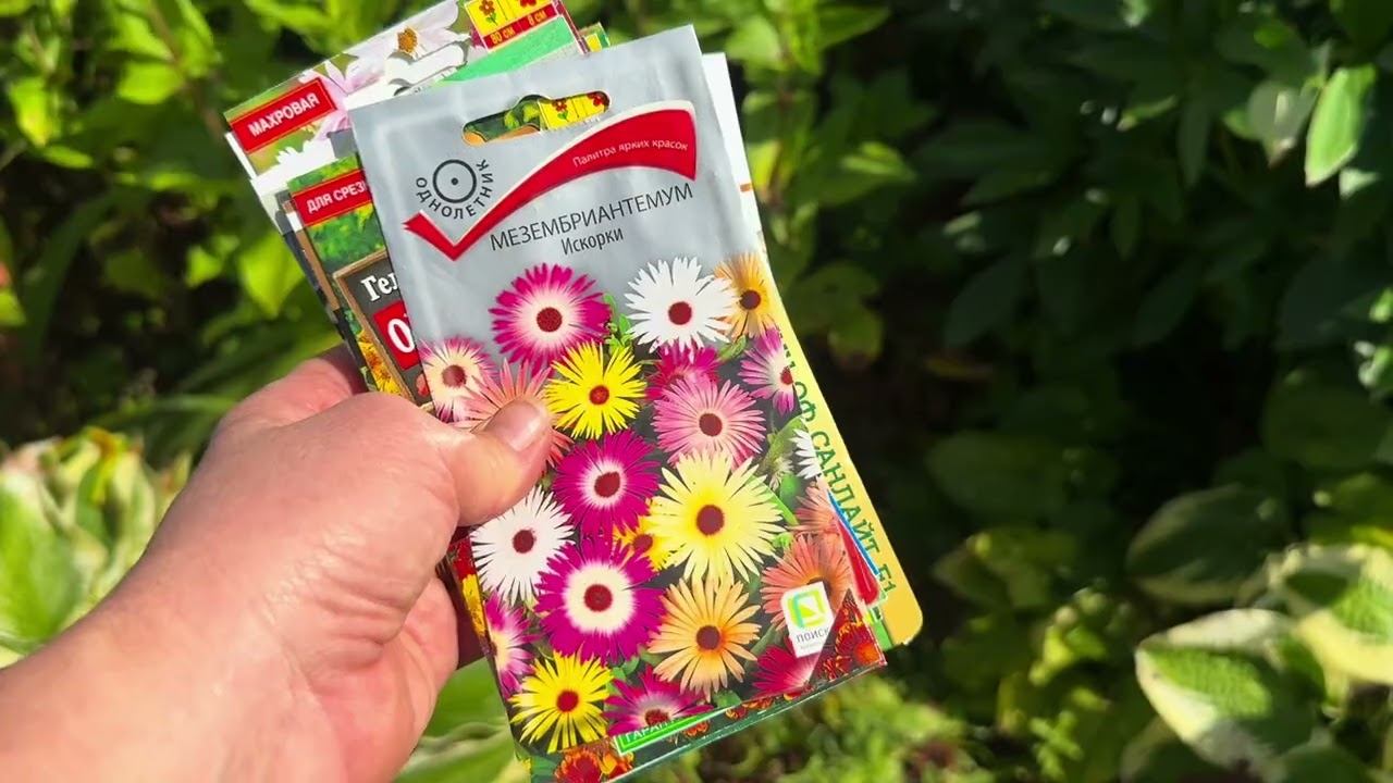ЦВЕТЫ из семян с упаковками. Привет из лета! смотреть онлайн