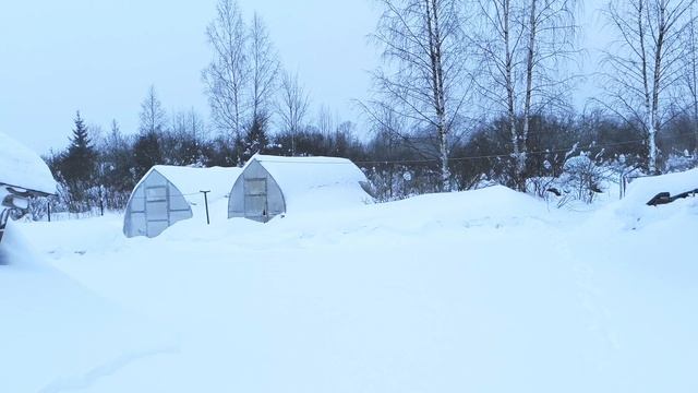 А снег идёт❄❄❄/ Тверскую область засыпало снегом. смотреть онлайн