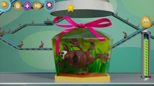 БУБА RYTP КОНДИТЕР