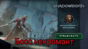 ShadowBorn. Успокоил некроманта.