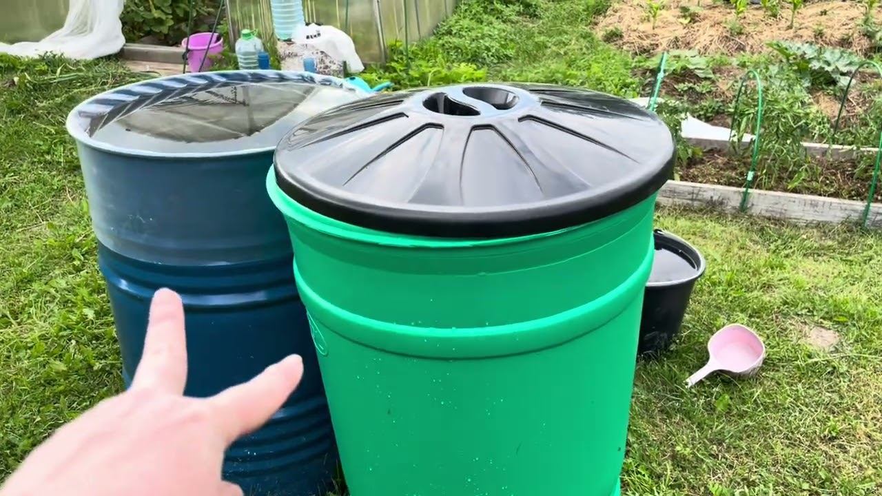 25.06.23 ВЛОГ дела огородные, в лесу грибы кончились))) смотреть онлайн