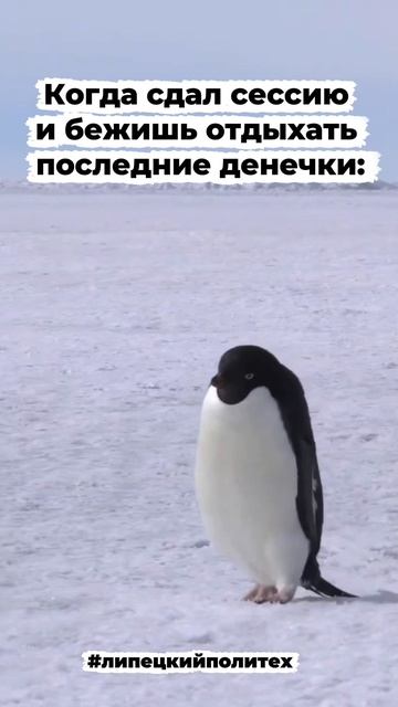 Когда сдал сессию