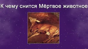 К чему снится Мертвое животное (Сонник)
