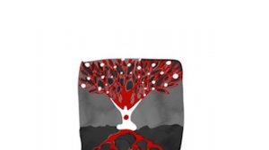 Дневник КАЛИ. День 36.  Любовь