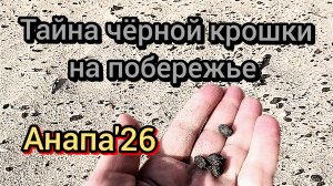 96 #Анапа #крошка на берегу #море #пляж 29-01-2026