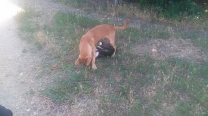 VID_20250701_160121-2