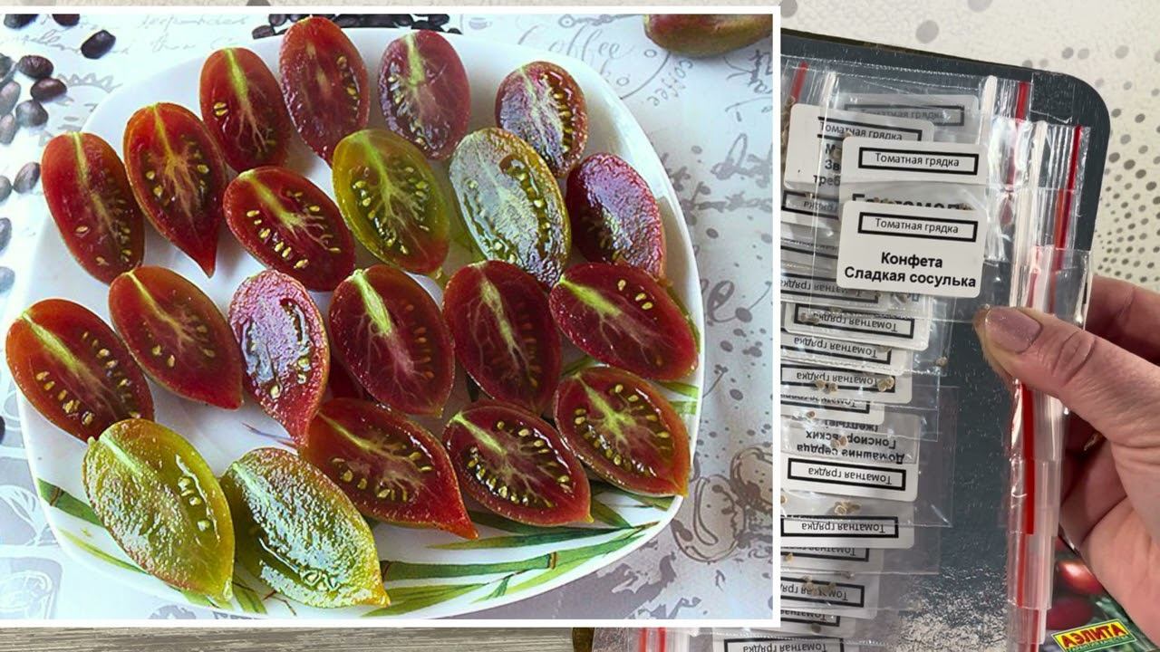 Посылка СОРТОВЫХ ТОМАТОВ❤️❤️❤️ смотреть онлайн