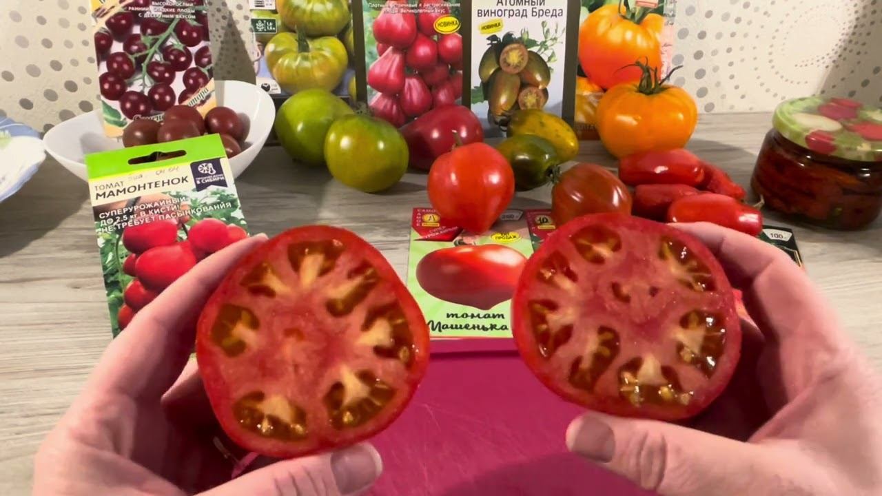 Честный ТОМАТ 2023 и дозаренные пробуем! Обзор и отзыв смотреть онлайн