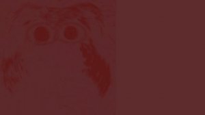 Фазы которые будут в ПЛБ 5 дней