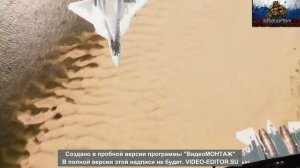 TOP_RUSSIAN_BOSSSSSSS!!!!!!!!!!!!!!!!!!