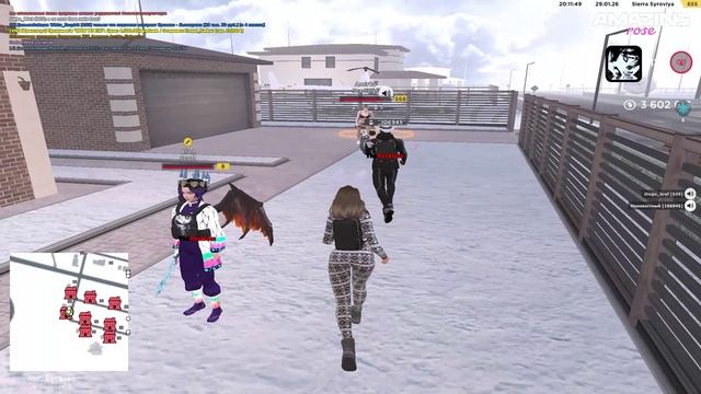 Амирка дубль 2