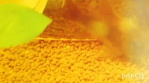 клип это я (плохо пою)