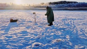 Хорошо поймал, р. Свирь, окунь.