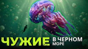 Это не КОСМОС, это ЗЕМЛЯ: Глобальная МУТАЦИЯ, которую не могут объяснить ученые. Реальная история