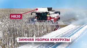 Н820: зимняя уборка кукурузы