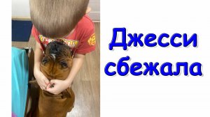Джесси сбежала. Долгий поиск и переживания. (01.26г.) Семья Бровченко.