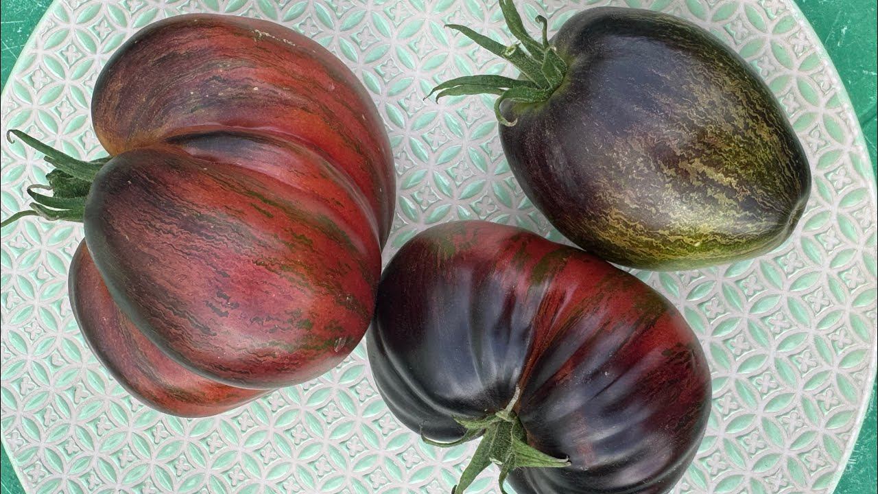 02.08.25 влог огородных забот- истребители поспели, заготовки, урожай смотреть онлайн