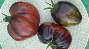 02.08.25 влог огородных забот- истребители поспели, заготовки, урожай