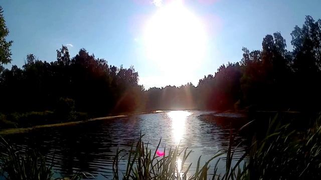 Юрий Козлов "Холостяцкая" смотреть онлайн