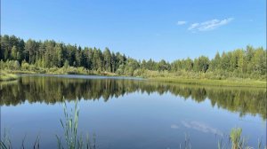 ЛЕСНОЕ ОЗЕРО!!! Велопрогулка август 2021.