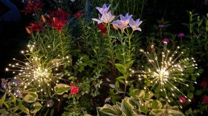 18-19.07.25 томаты стригу и обрабатываю,  огородные заботы