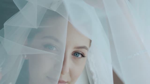 ARK смотреть онлайн