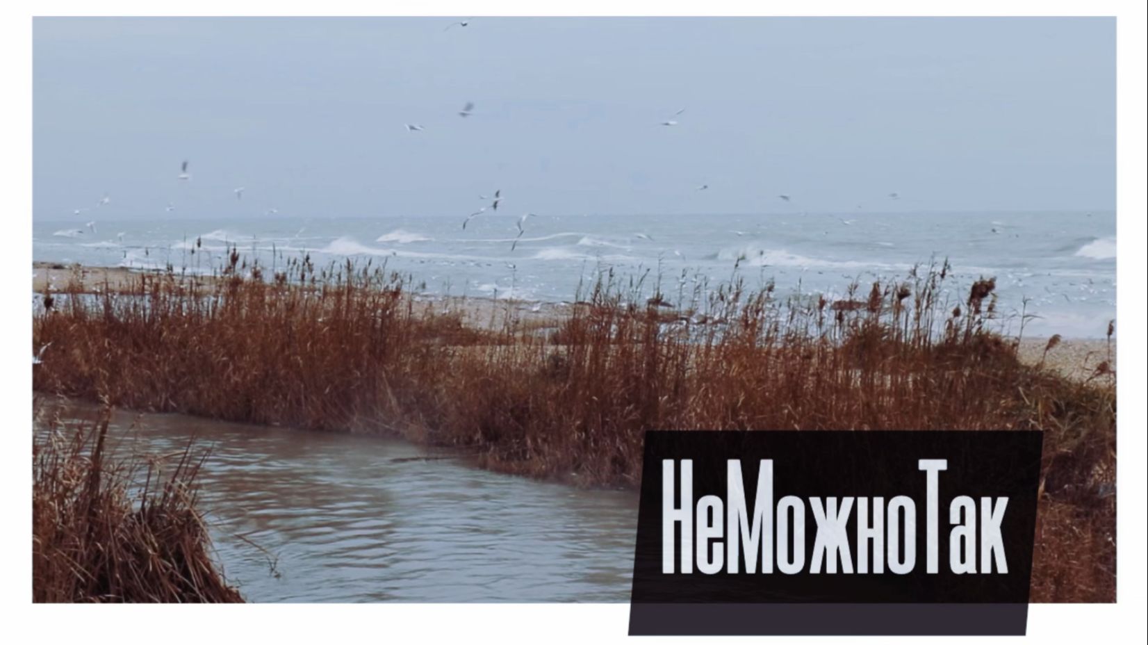 Хроники Воняйки / Махачкала смотреть онлайн