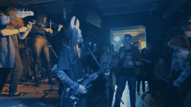 Шишига - Мои слова (Live)