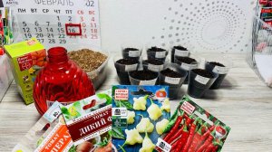 16-17.01 ПОСЕВЫ: перец, гномы, порей + сушеный лук и как севок сохранить!