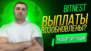 Bitnest: выплаты 16 марта — факт или задержка? Разбор ситуации