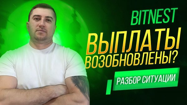 Bitnest: выплаты 16 марта — факт или задержка? Разбор ситуации