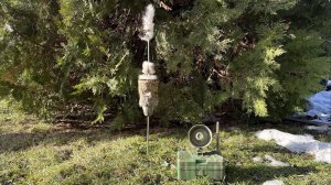 Комплект приманка + манок но хищнику с пультом ДУ