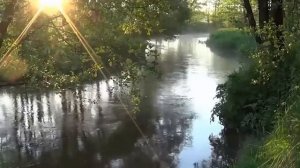 Волшебный Перезвон*Очищение*Расслабление*Благость