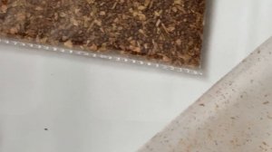 Семена и Табак-упаковка