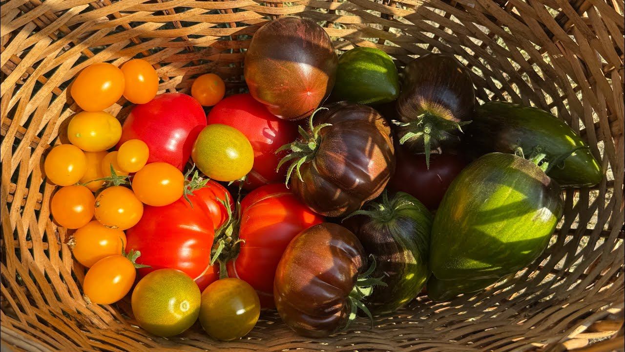 26-27.07.25 опять покос, жара, посевы! смотреть онлайн