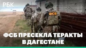 ФСБ сообщила о пресечении теракта на ж/д станции и религиозном объекте