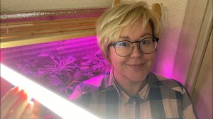 Простой стеллаж для рассады! Женскими руками? ЛЕГКО!