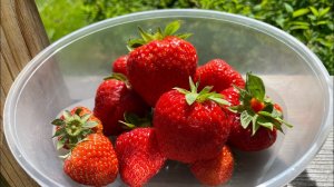 Влог 11-13.06.22 крепления в теплице для томатов, клубника! прополола палисадник!