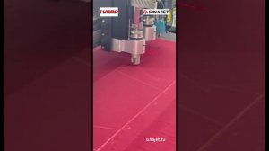 Турбо, Киров: работа раскройщика SINAJET DH-3021