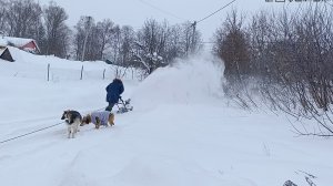 Жуткая метель, снегоуборщик, ремонты и духи ПД Париж