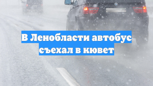 В Ленобласти автобус съехал в кювет