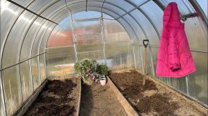 ТЕПЛИЦА НА ЗИМУ: посевы, заправка, укрытие клубники