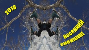 Весенний снежник - 2018